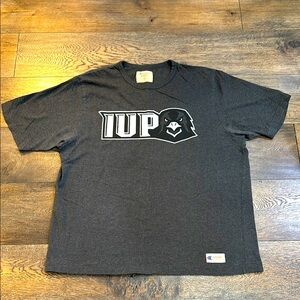 Vintage Champion Gray IUP Graphic T-Shirt like New
